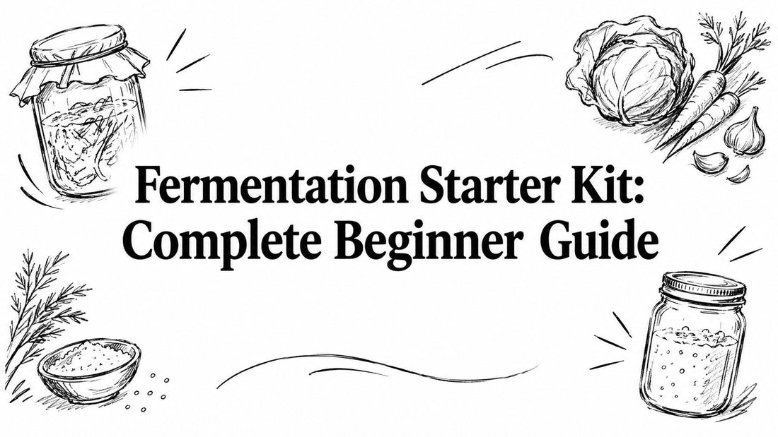 Fermentation Starter Kit: Complete Beginner Guide