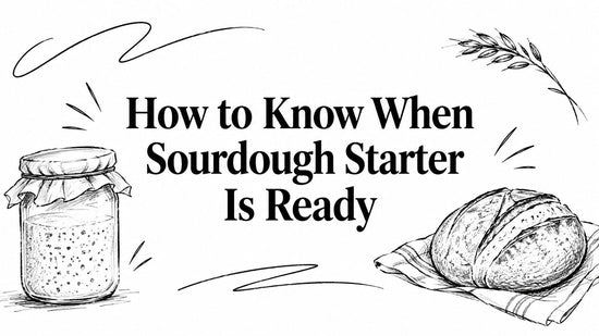 How to Know When Sourdough Starter Is Ready