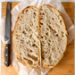 The Dried Starter | No Frills, Just Culture